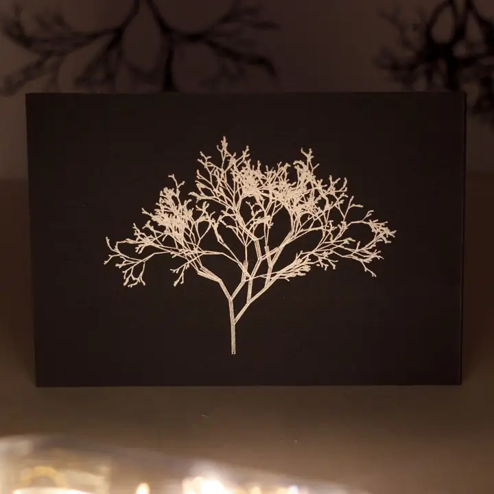 Silver or grey, trees or roots, upside or down 
