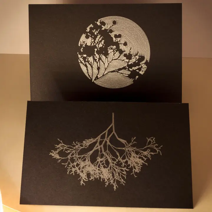 Two black cards with silver line drawings presented together, the upper side made of concentric circles masked by a sparse tree like the moon peeking through branches and leaves, and the lower side representing a complex root system.