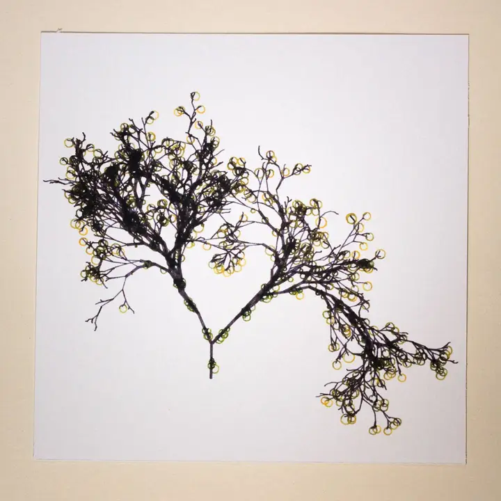 Randomly generated tree branches drawn in black ink with yellow-green circles as leaves on a square white card.